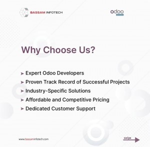 Why Choose Us ? | Bassam Infotech