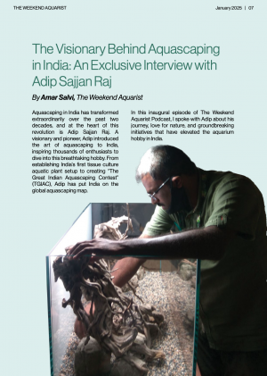 Cover Story on Adip Sajjan Raj