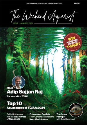 The Weekend Aquarist 1st Issue Cover