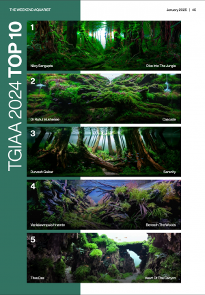 Top10 TGIAA 2024 Winners