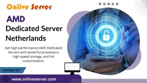AMD Dedicated Server Netherlands