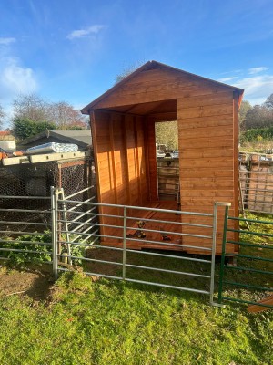   Peter Grubisic Van salesman