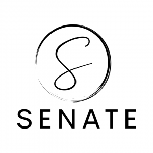 Senate Marketing | Digital Marketing Agency | Mumbai