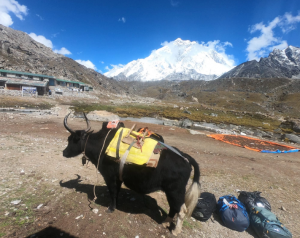 letstrekhimalayas image 5