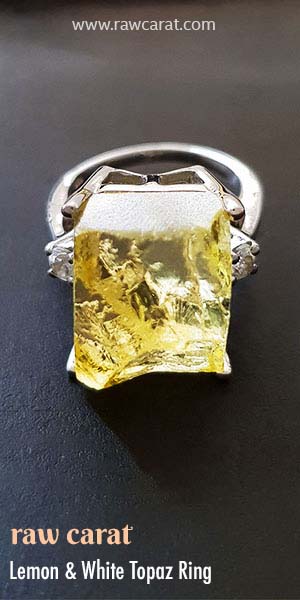 Long Stemmed Earrings