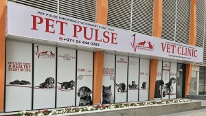 Pet Pulse Emergency Veterinary Clinic