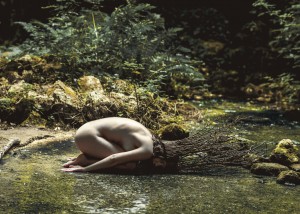 Frame - Mirtillo numerus IX (II)