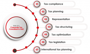 Corporate tax consultant