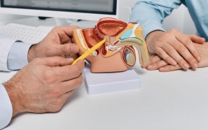 best infertility clinic in kolkata