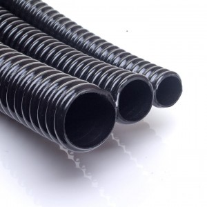 3x1 E zps9yicqycc 720x