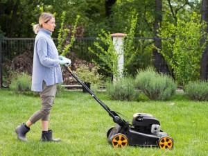 home lawn care services