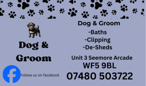 1 20250125 131227 0000