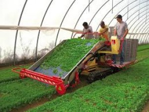 Global and Southeast Asia Vegetable Harvesters Industry