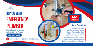 Do You Need emergency plumber
