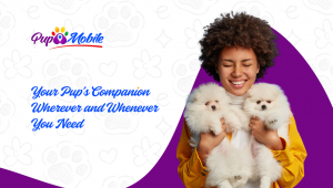 470650203 122167795280259627 4293665864503608986 n