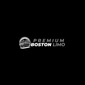 premium boston limo