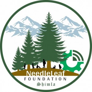 Needleleaf Foundation Logo