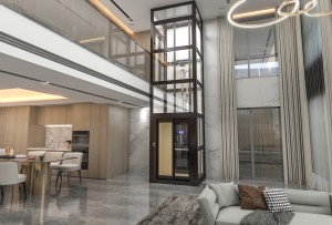 SE 3 - Belt & Gearless Home Lift