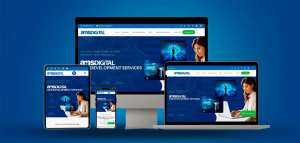 website development company in India