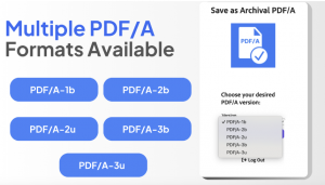 Multiple PDF/A Formats Available