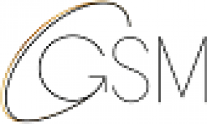 GSM Growth Agency