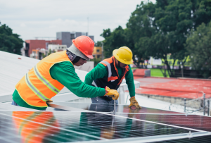 solar distributorship