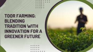 Toor Farming Blending Tradition with Innovation for a Greener Future