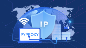 PYPROXY Launches Referral Program: Earn Rewards by Sharing Premium Proxy Services