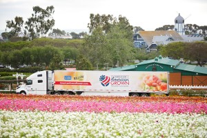 Mellano & Company Celebrates 100 Years of Floral Farming Excellence - A Century of Growth and Innovation