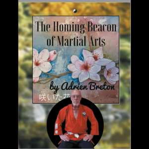 traditional ju jitsu