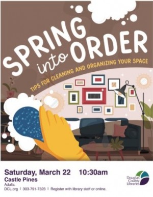 SpringIntoOrder DCL Order and More LLC
