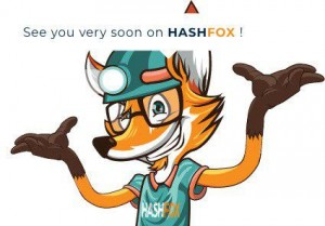 Wily, brand new artificial intelligence guiding you through the world of cryptocurrencies.