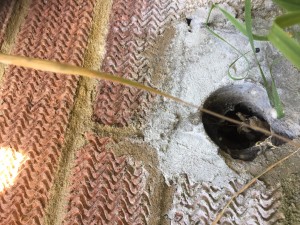 Mr Baptiste home external elevation hole in wall of kitchen potentially enabling access by Rat vermi