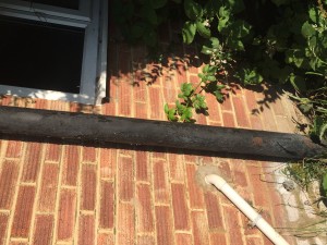 Mr Baptiste home external elevation hole in wall of kitchen potentially enabling access by Rat vermi