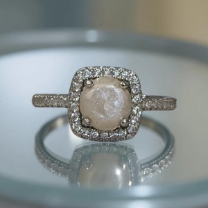 483171929 1147376510457407 2584447693256030729 n