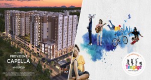 provident capella