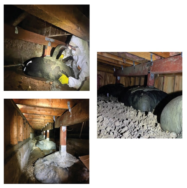 Crawl Space Support