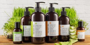 the body deli shiny hair 1950x