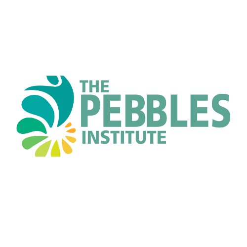 The Pebbles Institute: Empowering Students with Premier Language Training – Visa Consultation Services