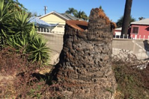 Four Ways Landscape Design Can Benefit Your Home 