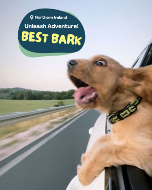 best bark 64 819x1024