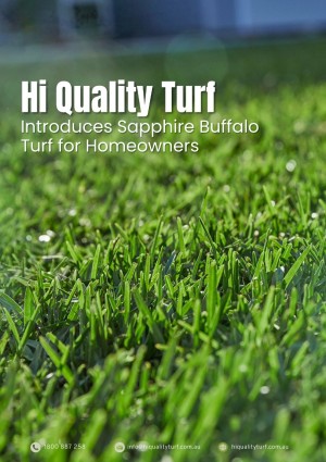 hi quality turf