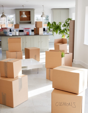 Coastal Moving Services