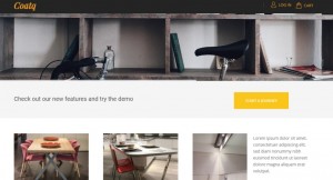 Optiin gallery slides feature