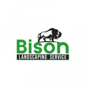 landscape bison logo