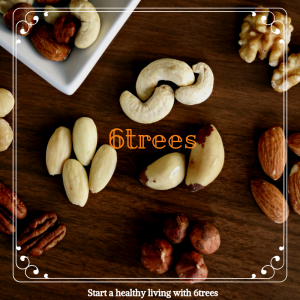 6trees - dry fruits stores