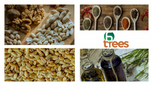 Start a Healthy living with 6trees - Dry fruits stores, Dry fruits online 