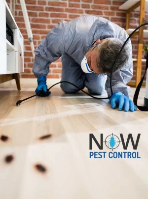 Pest Control