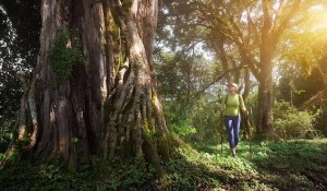 client at arusha national park jpg