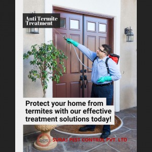 Anti Termite Treatment in Noida